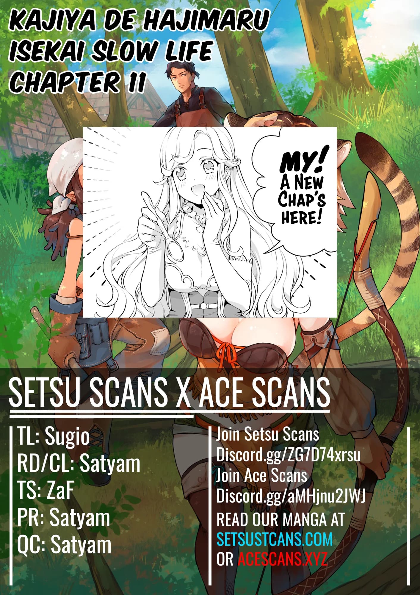 Chapter 11 background