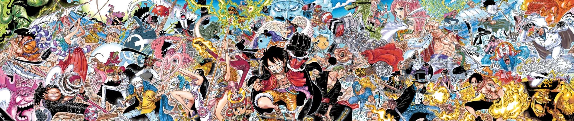 One Piece banner image